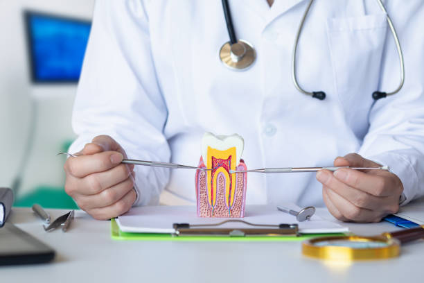 Best Emergency Broken Tooth Repair in Perry, LA